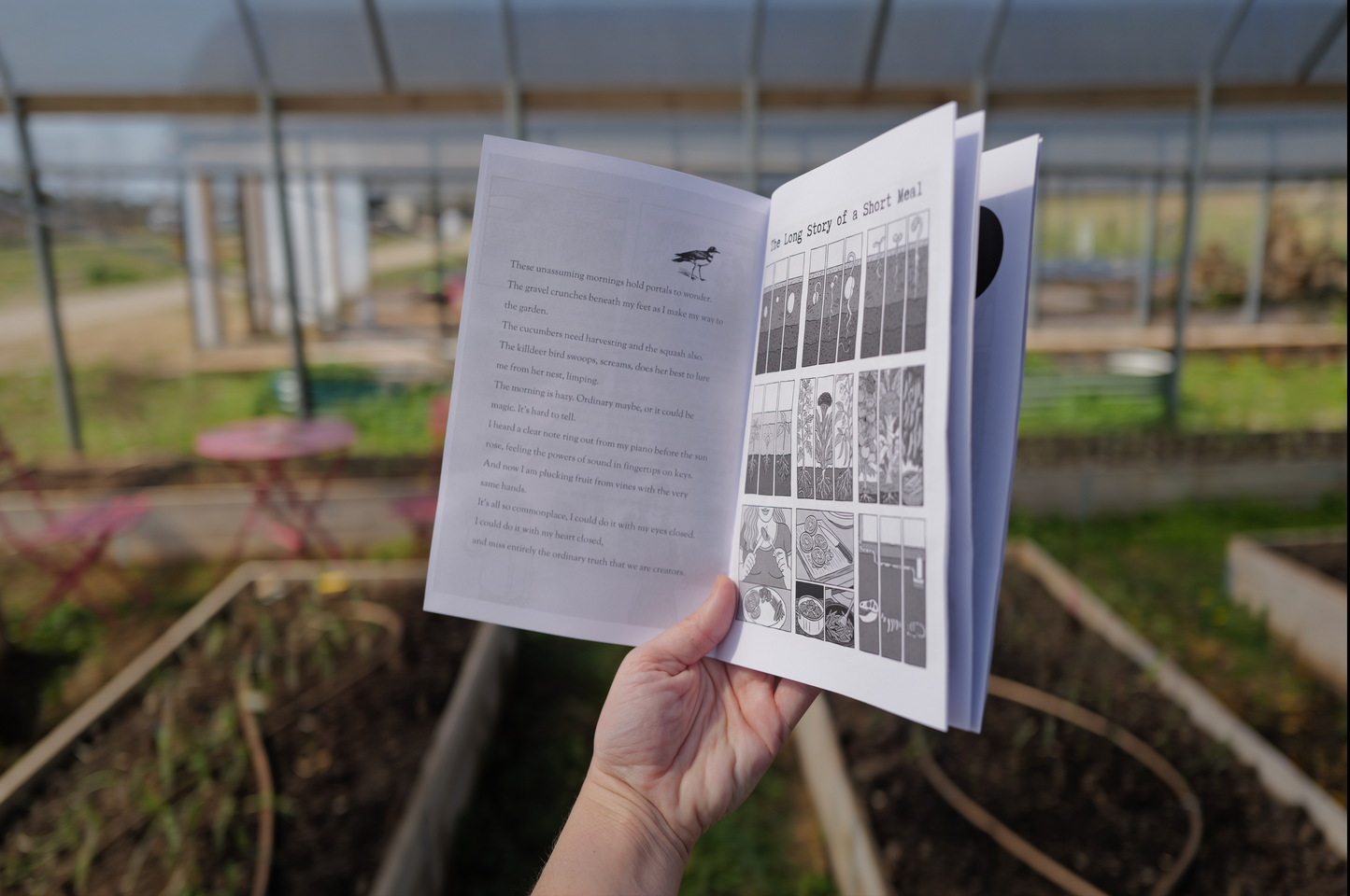 Softcover Zine (2026 Edition 1)