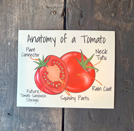 Anatomy of a Tomato